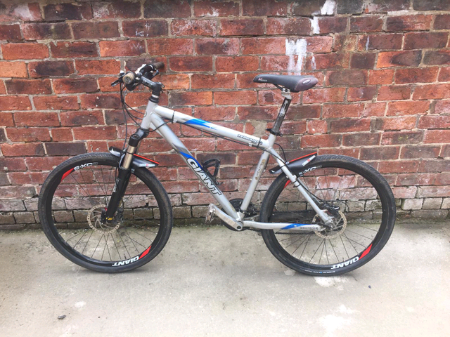 giant terrago disc